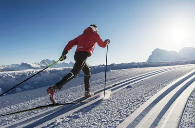 Тренировки лыжников-гонщиков: что нужно для победы? -  SkiTeamRussiaSkiTeamRussia
