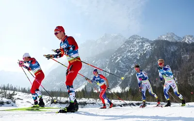 Лыжные гонки: вид спорта, история, дисциплины, основные термины, звезды.