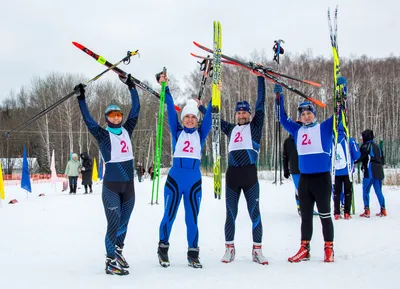 Сильнейшие российские лыжники приедут в Кировск на финальный этап Кубка  России | Информационное агентство «Би-порт»