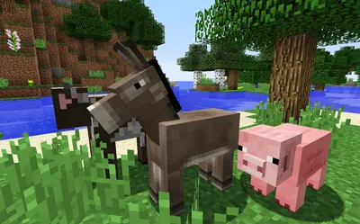 Кот в Minecraft: создание фермы животных» — создано в Шедевруме