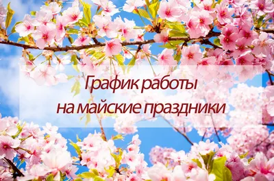 Майские праздники - Кубань-Карго