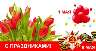 Россиянам напомнили о выходных в майские праздники