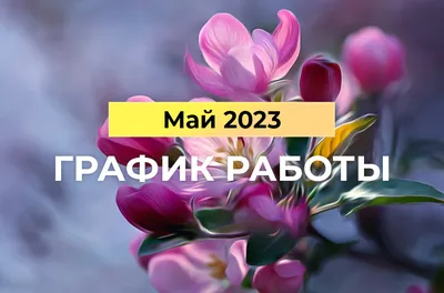 Россиянам напомнили, как они будут отдыхать на майские праздники |  Туристические новости от Турпрома