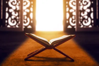 Иснад - Уважаемые, Сёстры! Онлайн-школа «Иснад» объявляет донабор на курсы  по обучению чтению Священного Корана с БУКВ для ОЧЕНЬ старательных сестер.  Курс включает в себя 1. Муалим сани + махрадж бук -