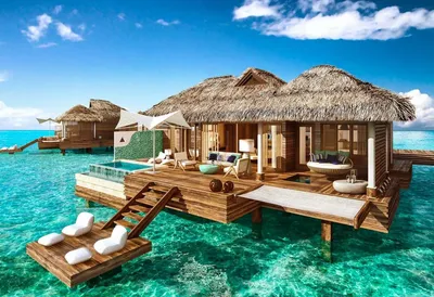 Сколько стоит отдохнуть на Мальдивах: точно дешевле, чем вы думаете / Блог  Chip.Travel