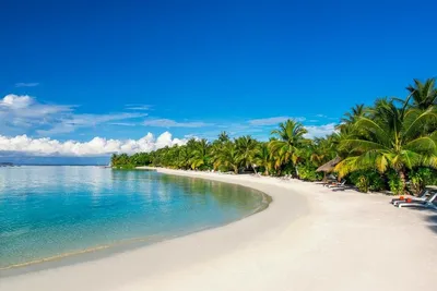 ТОП-11 идей, ☀️ что делать на Мальдивах во время отпуска 2024