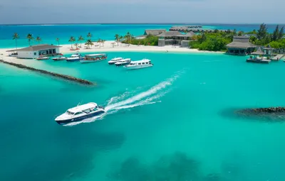 Наше путешествие на Мальдивы | Max Travel | Дзен
