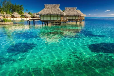 Обои Maldives-place for romantics Природа Тропики, обои для рабочего стола,  фотографии maldives, place, for, romantics, природа, тропики, океан, пляж,  пальмы, бунгало, мальдивы Обои для рабочего стола, скачать обои картинки  заставки на рабочий