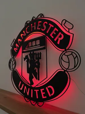 Купить Рюкзак Manchester United красный RUK12 по лучшей цене с доставкой -  интернет магазин №1 в России
