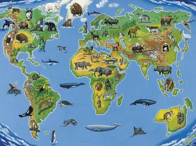 Обучающий плакат Карта материков и океанов, размер 42х60 см, формат А2, на  глянцевой фотобумаге - купить с доставкой по выгодным ценам в  интернет-магазине OZON (688345245)