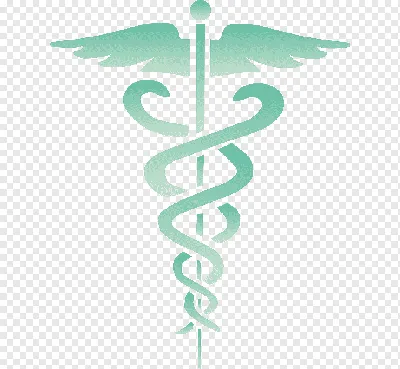 Медицинские логотипы Древовидная схема, Биомедицинская инженерия,  Технологии систем здравоохранения, Древовидная наука и творчество,  этикетка, ветвь дерева, инжиниринг png | Klipartz
