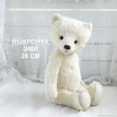 В Иркутской зоогалерее рассказали, как поживает крошечный медвежонок,  подобранный в лесу в начале мая 2023 года возле Большого Голоустного - 19  июля 2023 - ircity.ru