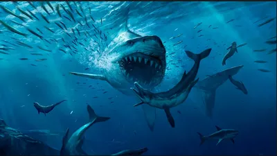 Фигурка мегалодона PNSO Megalodon акула доисторическая (ID#1403345970),  цена: 1159 ₴, купить на Prom.ua