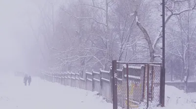 Скачать обои зима, снег, метель, раздел природа в разрешении 1680x1050 |  Творчество со снегом, Пейзажи, Снег