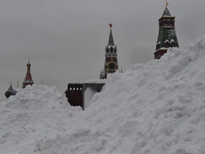 Метель с сумасшедшим ветром ударят по Воронежу