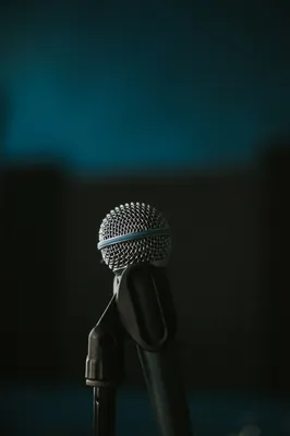 Микрофон для живого вокала GadgetON --- - купить по выгодной цене в  интернет-магазине OZON (925365524)