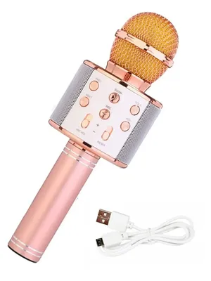 Музыкальная игрушка «Детский микрофон» купить в интернет магазине Караоника  Кидс