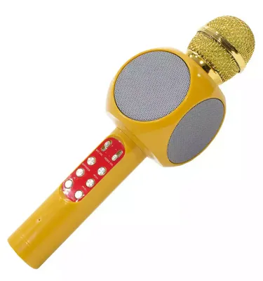 Микрофон Mir Mobi-VMESTE po svyatinyam микрофон-караоке-колонка. - купить  по выгодной цене в интернет-магазине OZON (633517949)