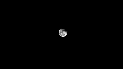 Скачать 1920x1080 луна, черный, минимализм, космос обои, картинки full hd,  hdtv, fhd, 1080p