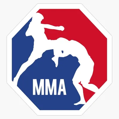 Что такое MMA и как устроены соревнования по смешанным единоборствам