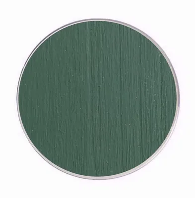 Мох Пласты, упаковка 0,5Кг/ Moss-Flat (Mousse) 0.5 Kg зеленый - 23 -  SPECIALGREEN