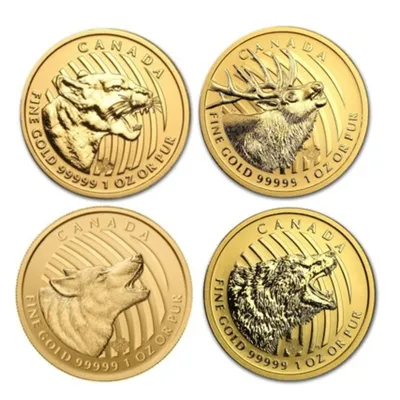 Набор золотых монет Канады \"Зов дикой природы\" ; 4 монеты весом 31,1 г  чистого золота (проба 0,99999)купить – интернет-магазин Золотой монетный дом