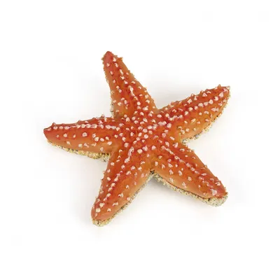 Фигурка морская звезда Papo 56050 — купить в фирменном магазине Papo