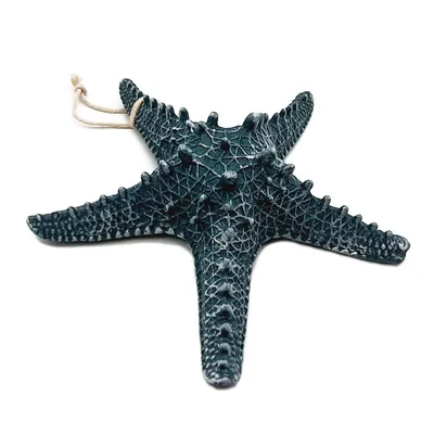 Купить Yousheng 2 шт. натуральная сушеная морская звезда морская звезда  пляжное ремесло свадебное украшение для дома | Joom