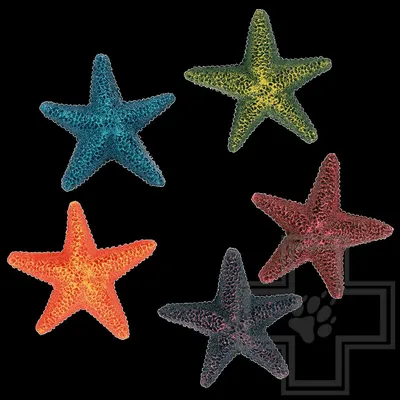 Декор Морская звезда TRIXIE 9см купить 🐾 BiZOOn