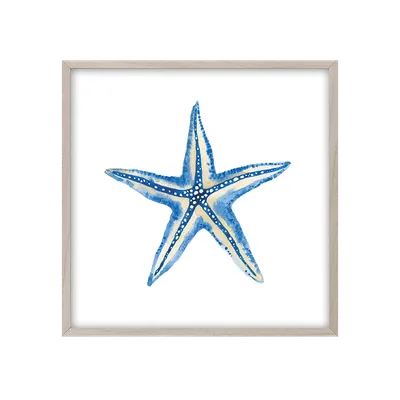 Купить Trixie Декорация для аквариума \"Морская звезда\", 9 см (цена за 1  шт.) - доставка, цена и наличие в интернет-магазине и аптеках Доктор Вет