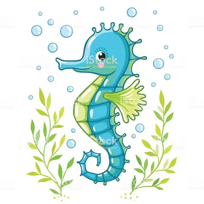 Cute cartoon Sea horse isolated. Seahorse and algae on a white... | Морской  конёк, Рисунки, Рисунок