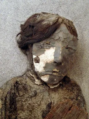 В Перу найдена спрятанная в \"контейнер\" 1000-летняя мумия - Российская  газета
