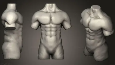 Спортсмены двух красивых молодых людей мужского пола показывают сексуальный  мускулистый торс с 6 пакетами Abs на открытом воздухе. Стоковое Фото -  изображение насчитывающей мышца, гомосексуалист: 214059398