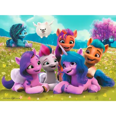 Свитшот c 3D принтом на тему Красотки Пони My Little Pony | Booom Shop