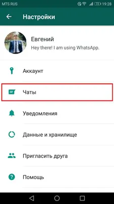 WhatsApp разрешил устанавливать индивидуальный фон в каждый чат — Ferra.ru
