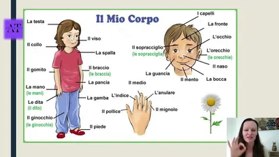Спокойной ночи!🌙 | Impariamo l'italiano - Изучаем итальянский язык |  ВКонтакте
