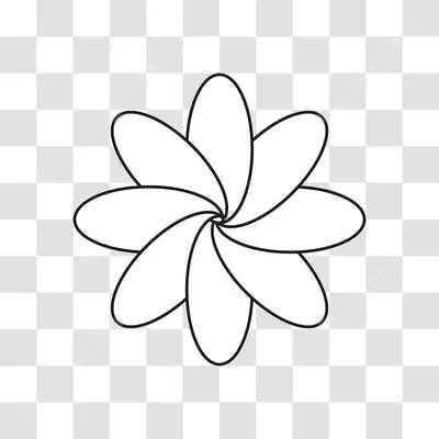 шаблон рамки цветов и листьев на прозрачном фоне Иллюстрация вектора -  иллюстрации насчитывающей пусто, сад: 223771155