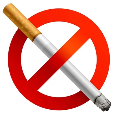 Курение реферат по безопасности жизнедеятельности | Сочинения Основы  биологической безопасности | Docsity