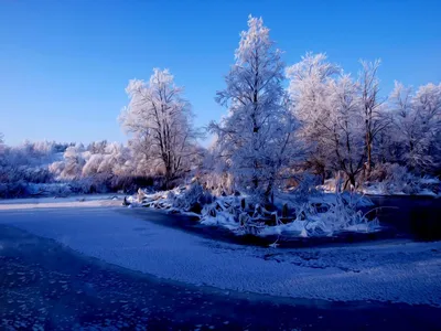 В январе нас ждут дожди: синоптики ошарашили прогнозом на зиму 2024 в  Новосибирске - KP.RU