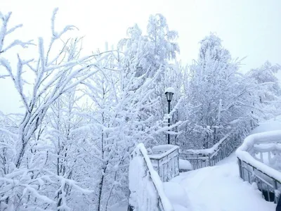 Начало зимы..... Photographer Maksim Evdokimov