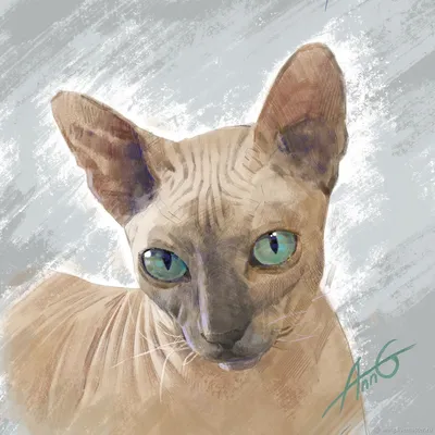 Коты. Рисунки котов, уроки рисования котов 2024 | ВКонтакте