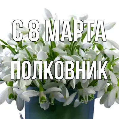 Наташа Королева сделала Тарзану подарок на 8 марта - 7Дней.ру