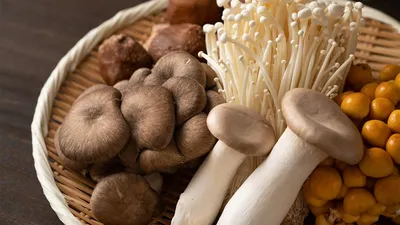 Дикие виды грибов на отбросе Стоковое Фото - изображение насчитывающей  грибки, грибок: 153509038