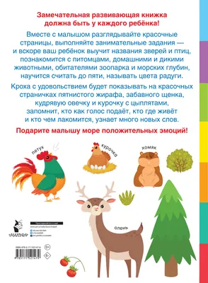Книга АСТ Животные Фотокнига купить по цене 260 ₽ в интернет-магазине  Детский мир