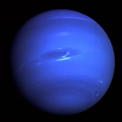 Нептуна