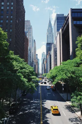 The 9 Best Neighborhoods to Live in New York City | 2024 | Bungalow