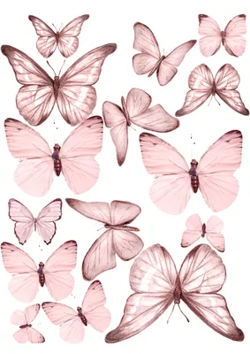 Нежно розовые бабочки