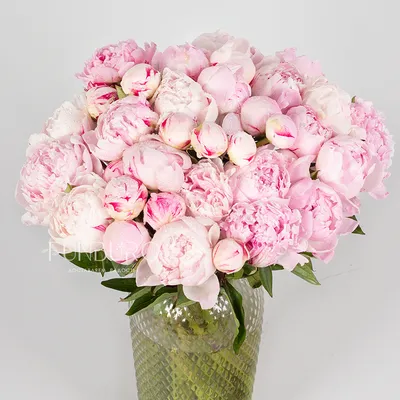 Almaflowers.kz | Нежно розовые розы в белой подарочной коробке \"Maison des  fleurs\" - купить в Алматы по лучшей цене с доставкой
