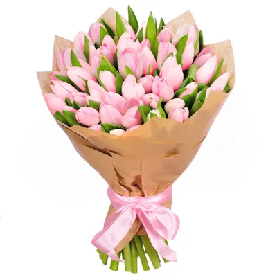 Букет из 25 нежно-розовых голландских тюльпанов купить в Минске, закажи, а  мы доставим.