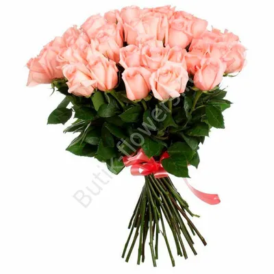 Букет из 15 нежно розовых роз с эвкалиптом и в авторской упаковке